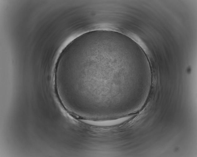 X0000097461144200802291230