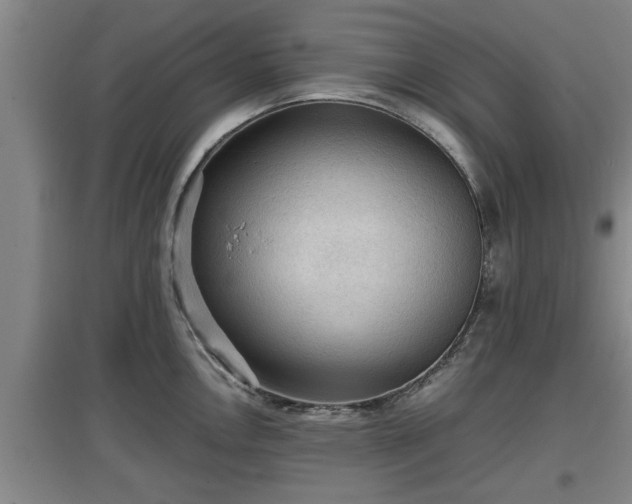 X0000097461146200802291230