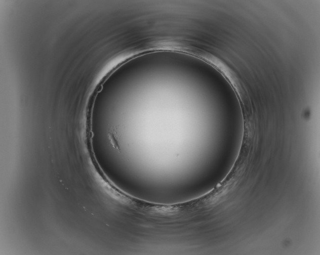 X0000097461147200802291230