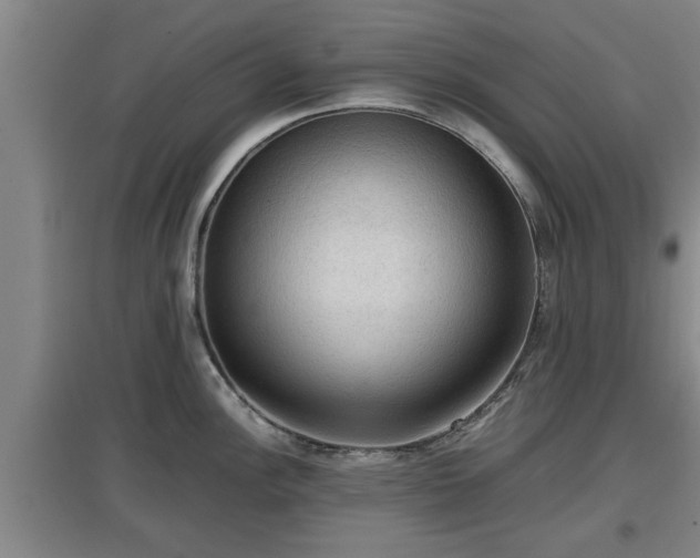 X0000097461148200802291230