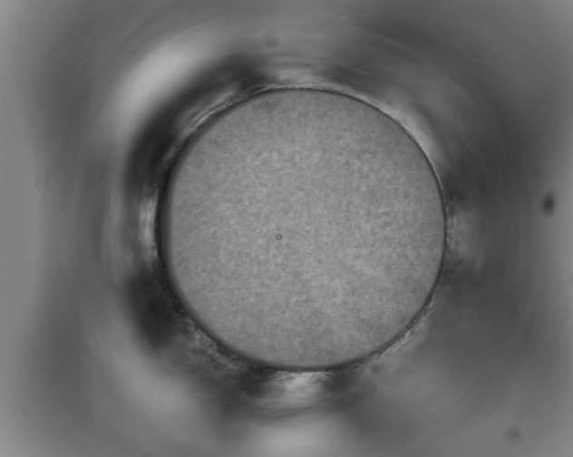 X0000097461150200802291230