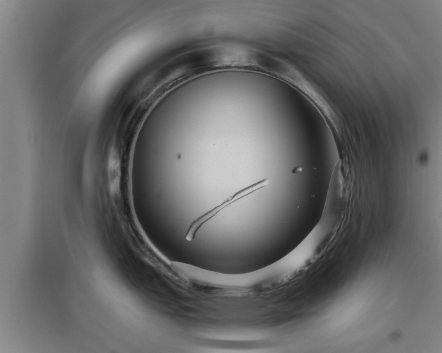 X0000097461151200802291230