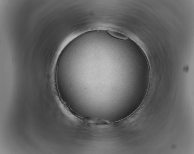 X0000097461152200802291230