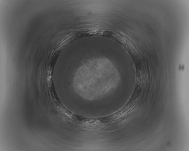 X0000097461154200802291229