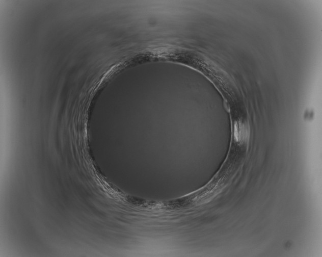 X0000097461155200802291229