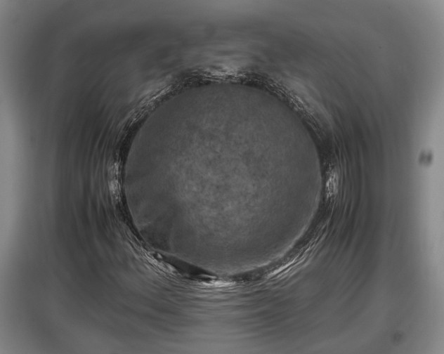 X0000097461156200802291229