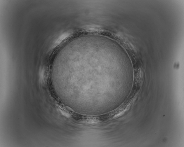 X0000097461157200802291229