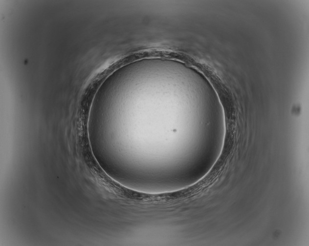 X0000097461159200802291229