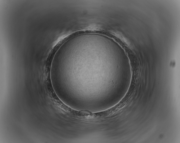 X0000097461160200802291229