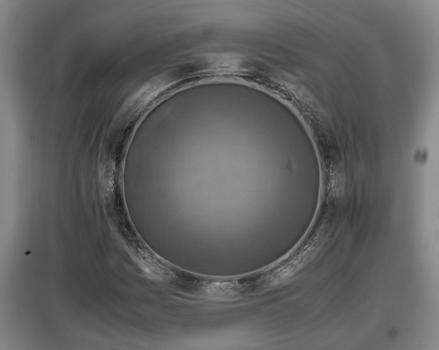 X0000097461161200802291229