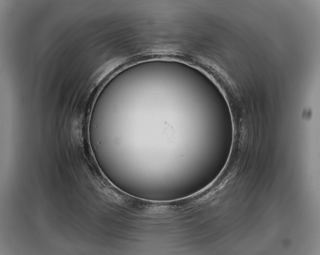 X0000097461162200802291229