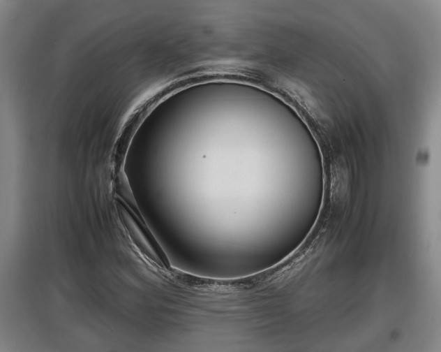 X0000097461164200802291229