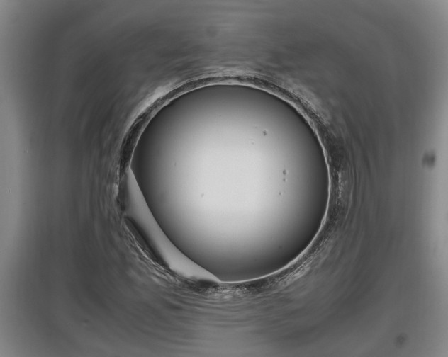 X0000097461165200802291229