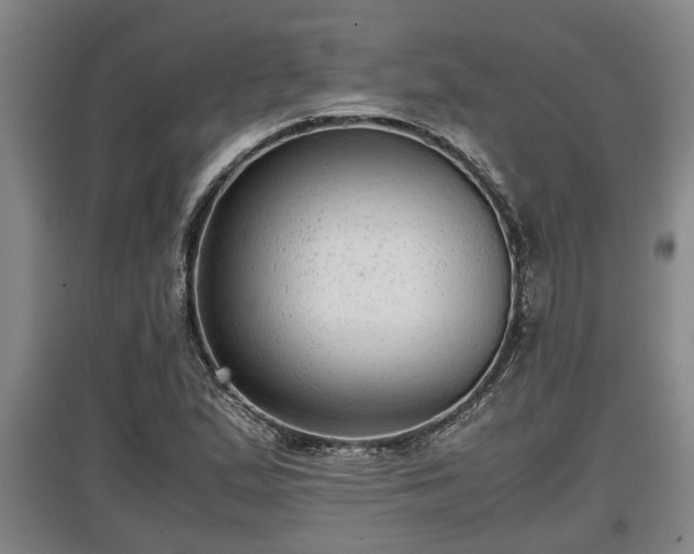 X0000097461167200802291229