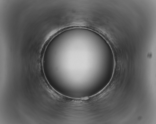 X0000097461168200802291229