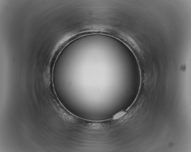 X0000097461172200802291229