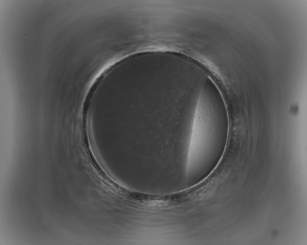 X0000097461173200802291229