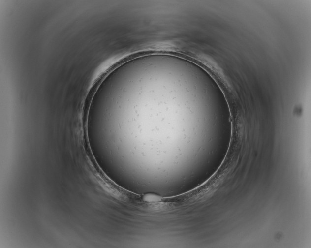 X0000097461176200802291229