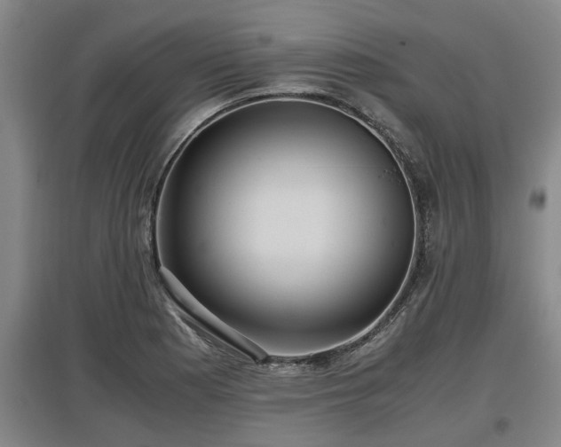 X0000097461177200802291229