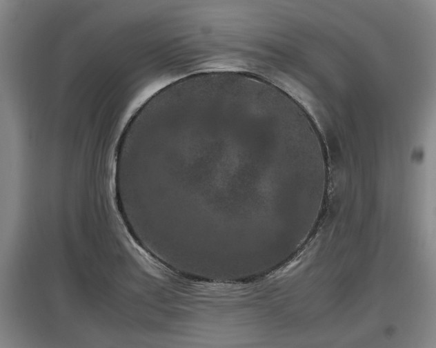 X0000097461179200802291229