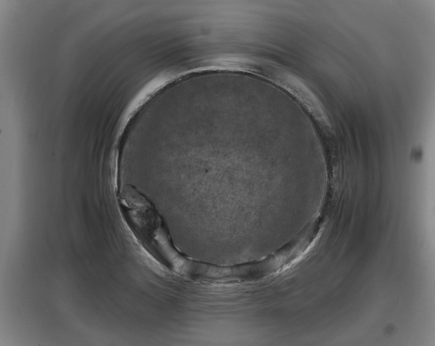 X0000097461180200802291229