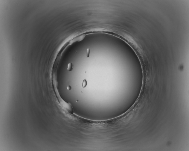 X0000097461181200802291229