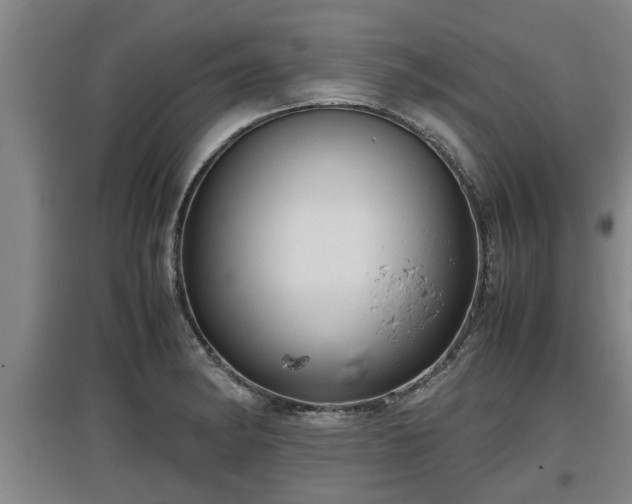 X0000097461182200802291229