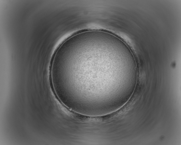 X0000097461183200802291229