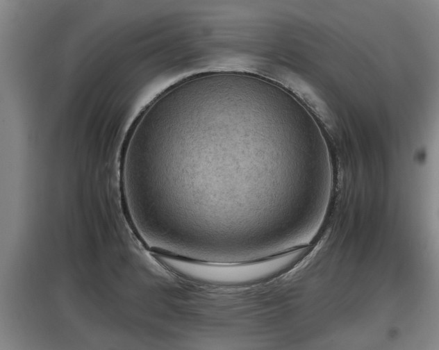 X0000097461184200802291229