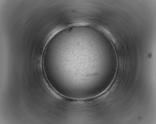 X0000097461186200802291229