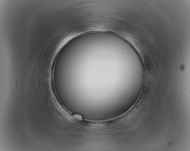 X0000097461187200802291229