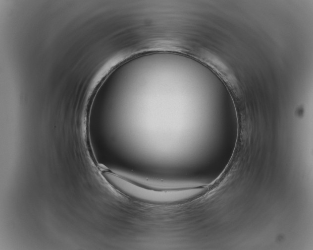 X0000097461188200802291229