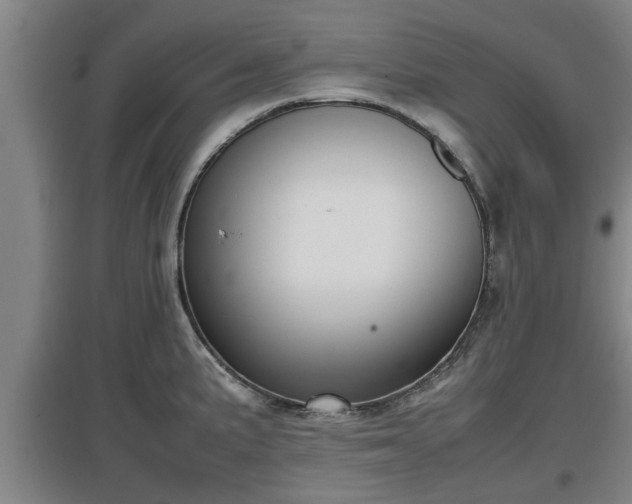 X0000097461191200802291229