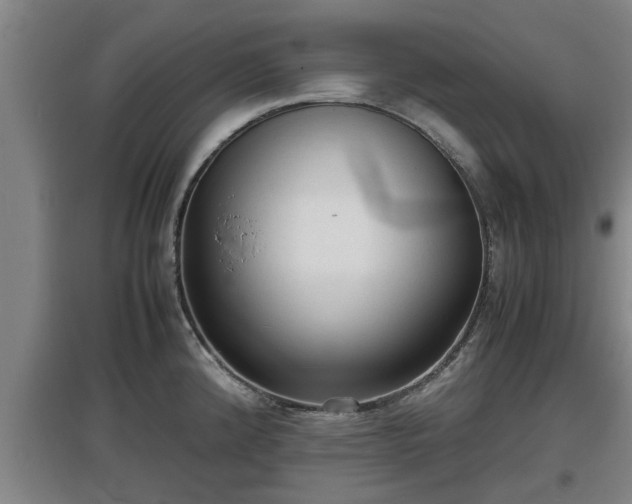 X0000097461192200802291229