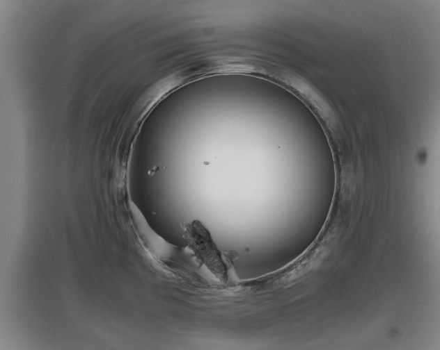 X0000097461193200802291229