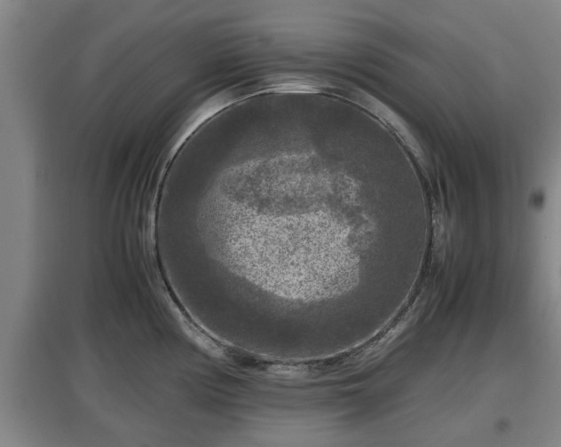 X0000097461194200802291229