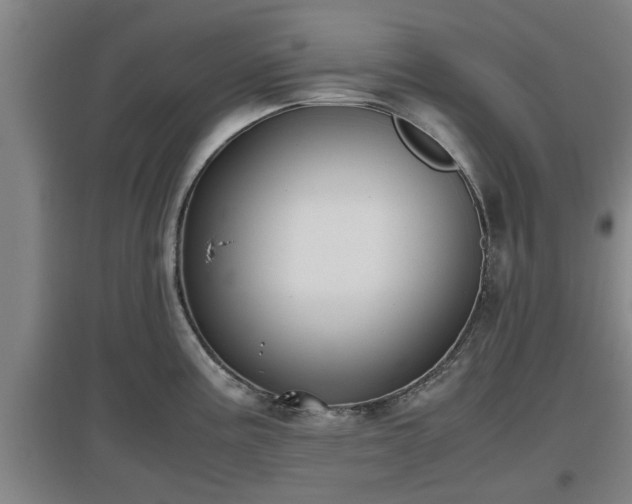 X0000097461195200802291229