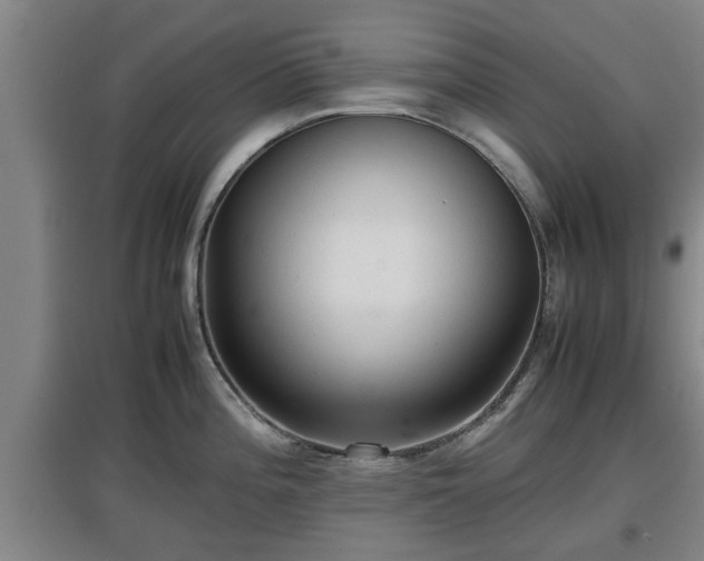 X0000097461196200802291229