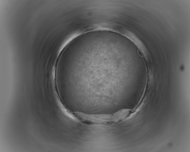 X0000097461198200802291229