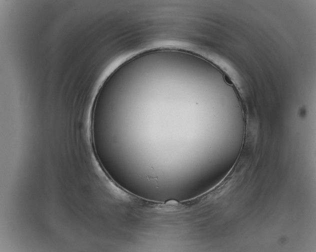 X0000097461199200802291229