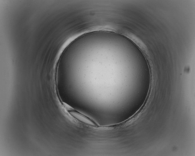 X0000097461200200802291229