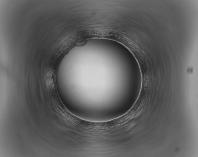 X0000097461202200802291228