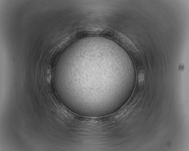 X0000097461204200802291228