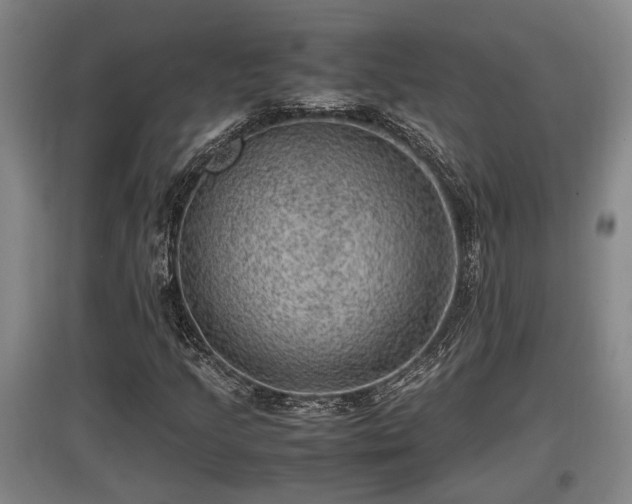 X0000097461205200802291228