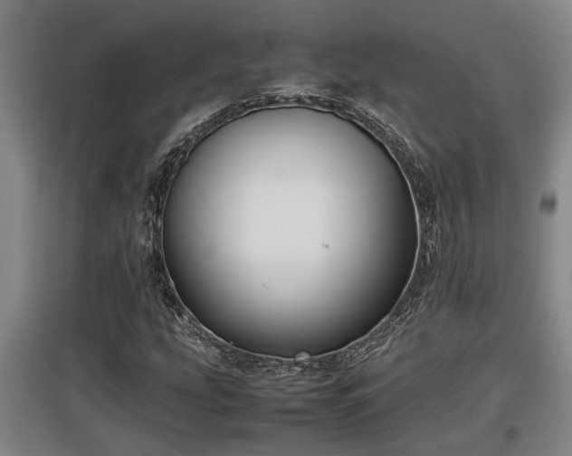 X0000097461207200802291228