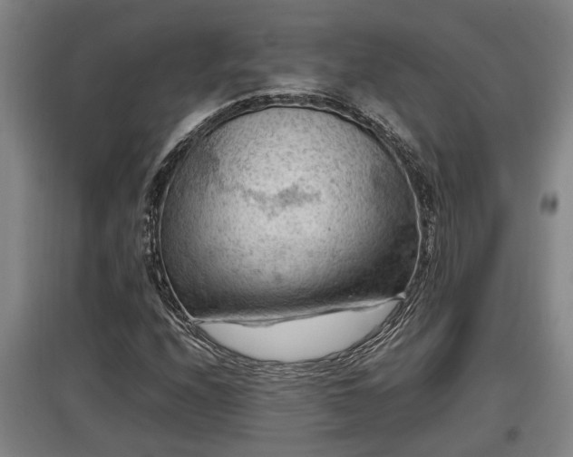 X0000097461208200802291228