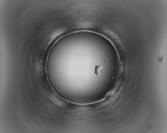 X0000097461210200802291228