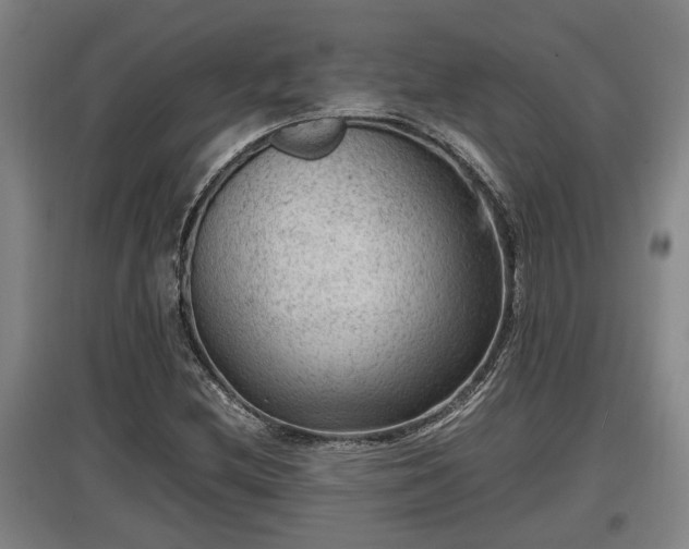 X0000097461212200802291228