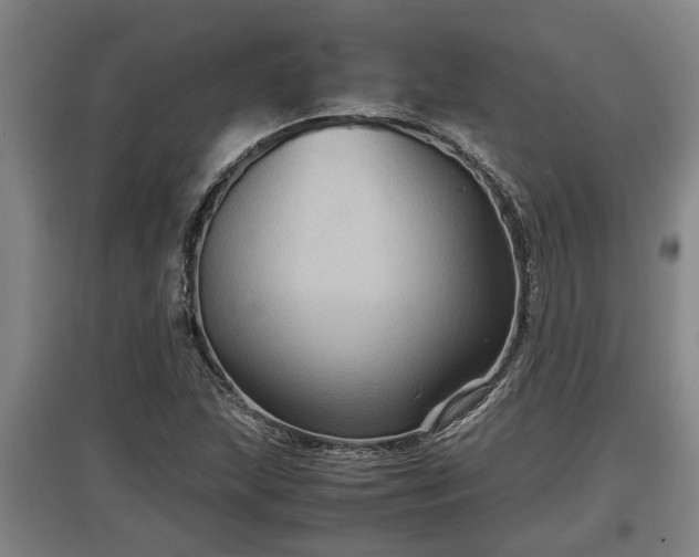 X0000097461215200802291228