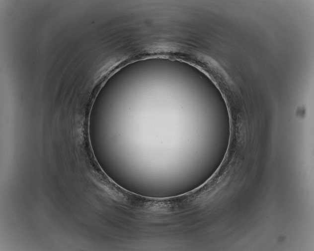 X0000097461217200802291228